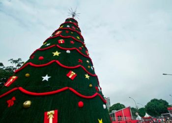Árvore de Natal Ibirapuera SP